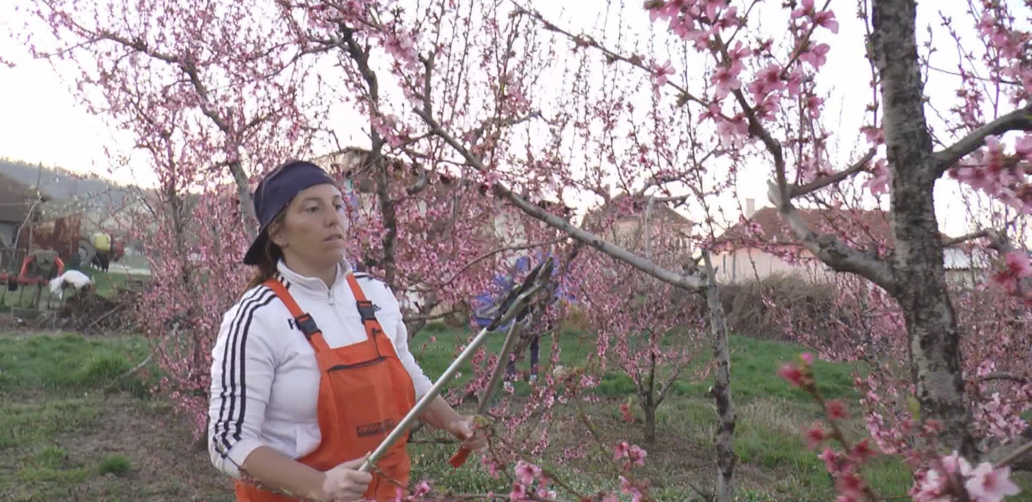 SAMOHRANA MAJKA IZ TOPOLE DOBILA NADIMAK SUPER ŽENA Bavi se fudbalom, radi u kafiću i sama obrađuje 4 hektara zemlje