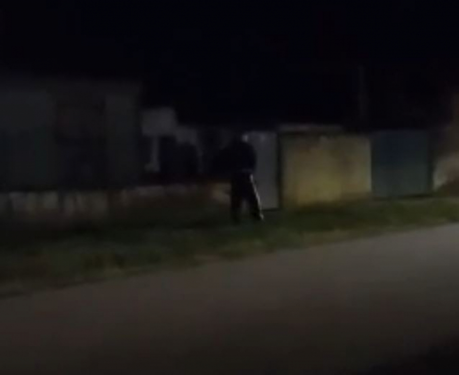 KOMŠIJE IZ PAKLA Otac i sin se kunu u Arkana i godinama prete smrću komšijama u Starčevu! (VIDEO)