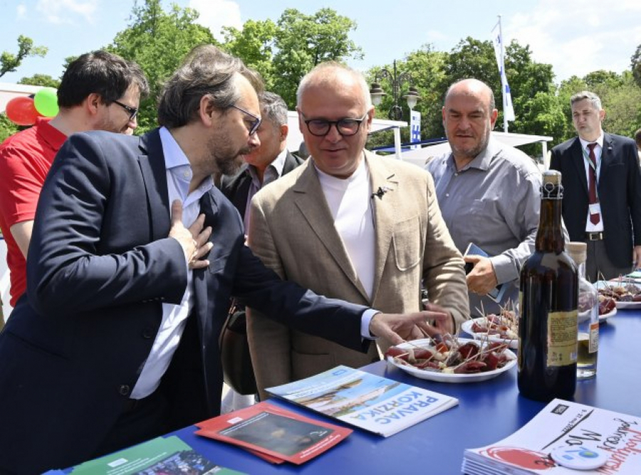 GORAN VESIĆ PORUČIO: Srbiji je mesto u zajednici evropskih zemalja  (FOTO)