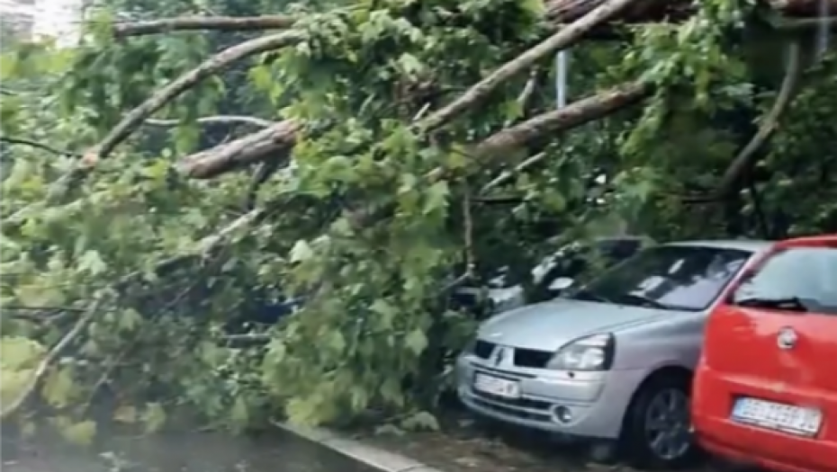 NEZAPAMĆENO NEVREME POGODILO ZAPADNU SRBIJU Vetar čupao drveće iz korena i nosio krovove sa kuća (FOTO)