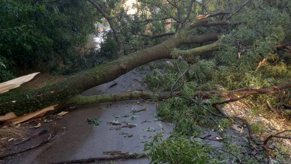 "KAO DA JE KROZ SELO PROTUTNJAO TORNADO" Haotične scene kod Topole, nevreme napravilo pustoš, meštani ne pamte ovakvu katastrofu (FOTO/VIDEO)