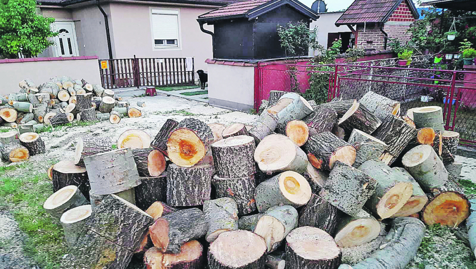 OGREVA KOLIKO HOĆEŠ, AL' KUPACA NI OD KOROVA Snabdevenost peletom i ogrevnim drvetom odlična, potražnja nikad slabija - ovo je razlog!