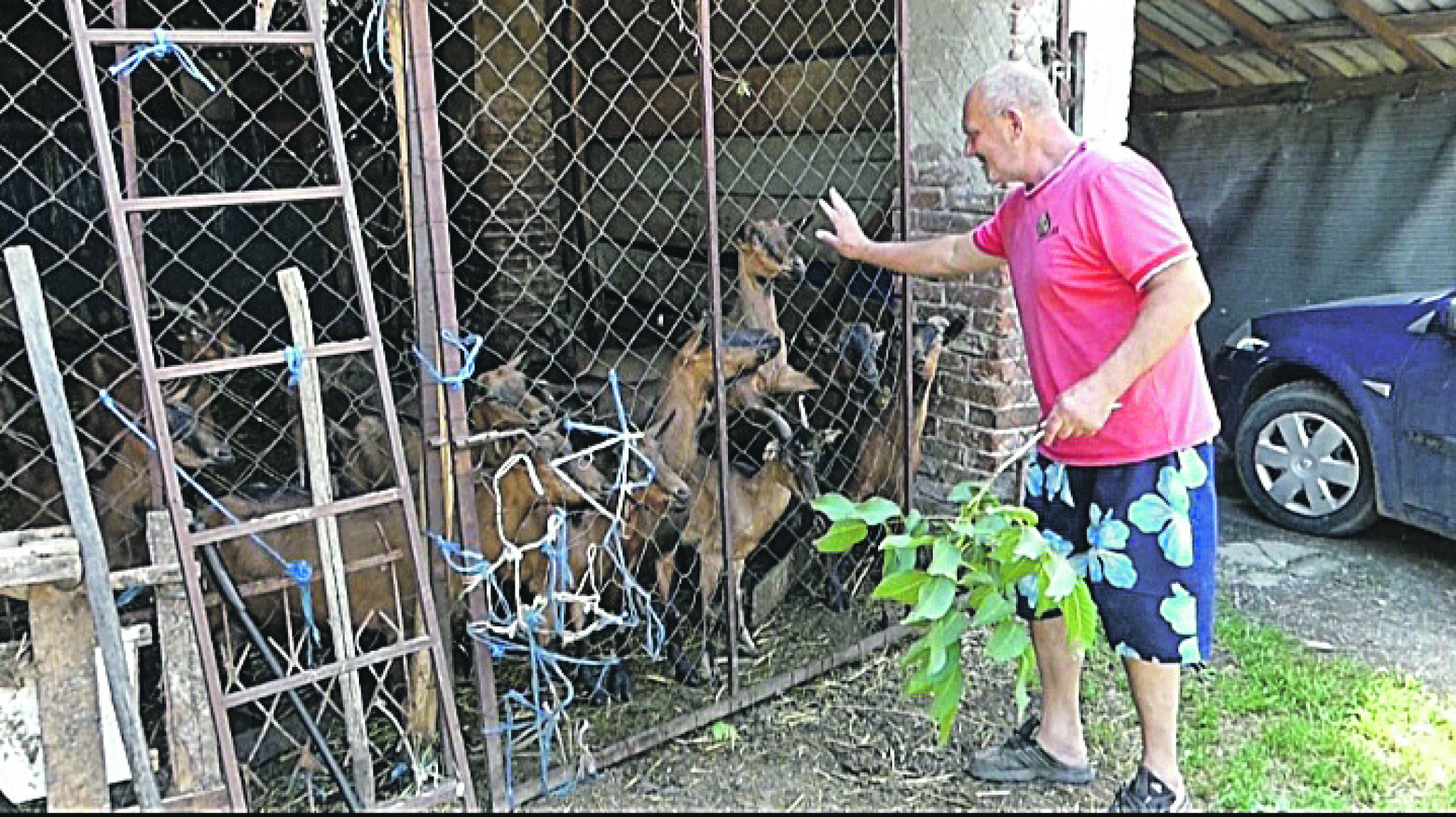 DECU SU MINUTI DELILI OD SMRTI! Pastira iz Velikog Izvora kod Zaječara umalo ubila struja, a on brine za najmlađe