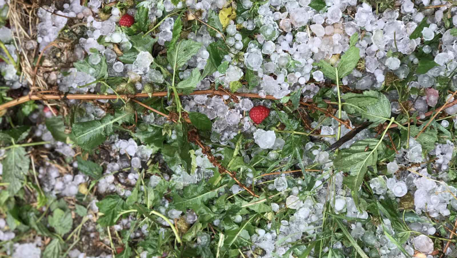 PADAO GRAD VELIČINE JAJETA U ovom gradu nevreme tokom noći nanelo veliku štetu usevima