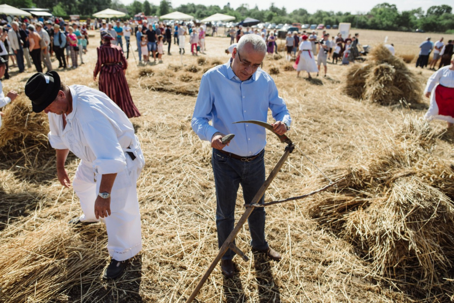 GRADONAČELNIK BAKIĆ OTVORIO TAKMIČENJE RISARA: Manifestacija koja vraća u prošlost i oslikava kako su preci radili ovaj težak posao (FOTO)