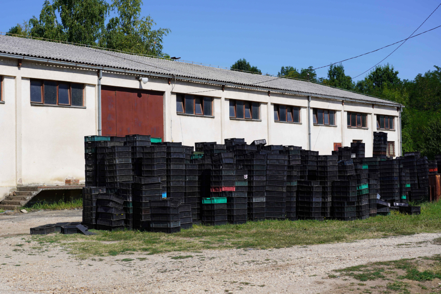 UPORNI I VREDNI Lipovac - ponos sela Baničina kod Smederevske Palanke: Zemljoradnička zadruga preživela tranziciju