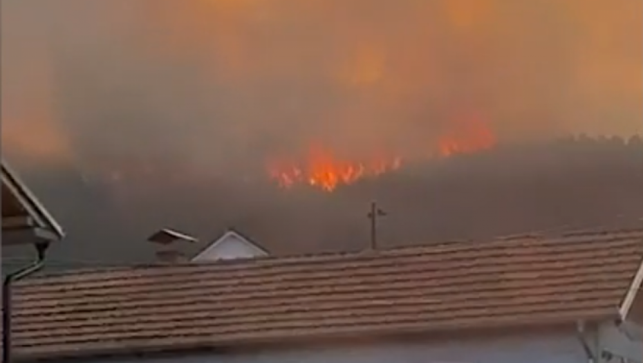 VATRA SE ŠIRI OGROMNOM BRZINOM Veliki požar izbio na Vršačkom bregu (FOTO,VIDEO)