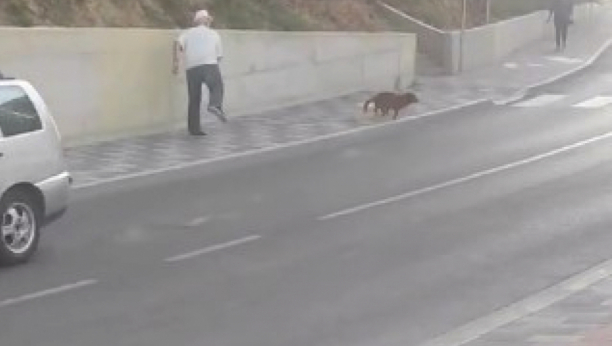 GDE ĆE TI DUŠA, ČOVEČE Deda na ulici, iz čista mira, kamenom gađao štene, Srbi ga "propisno okrpili"