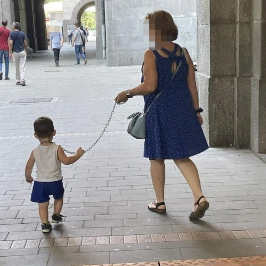 ŠOKANTNA SCENA U SUBOTICI Baka šetala unuka na povocu (FOTO)