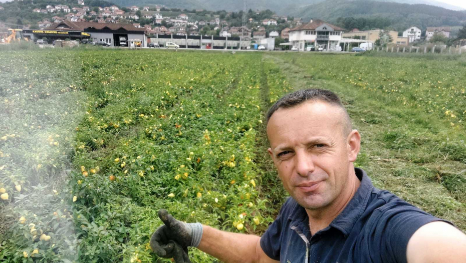 PAPRIKA U DOLINI LIMA RODILA KAO NIKAD RANIJE Mladi domaćin Njagoš prezadovoljan zaradom