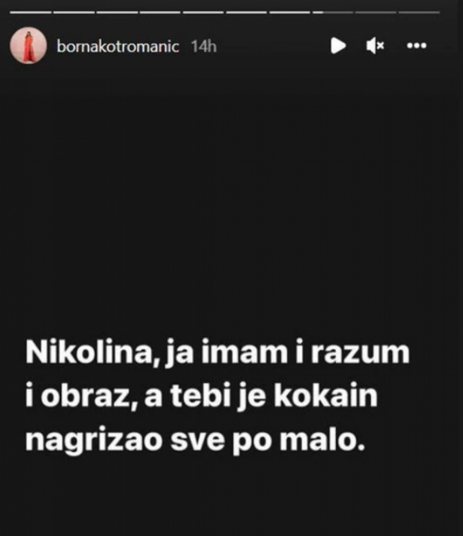 NIKOLINA, JA IMAM RAZUM, A TEBI JE KOKAIN NAGRIZAO SVE Modna dizajnerka objavila poruke koje joj je slao Vidoje, pa udarila na Pišekovu