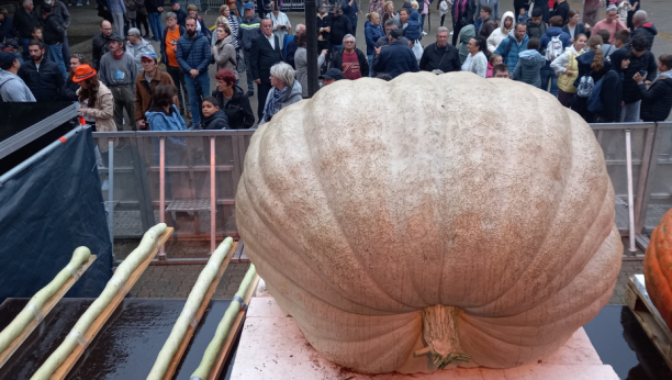 TRADICIONALNA MANIFESTACIJA U KIKINDI „Dani ludaje“ od 19. do 22. septembra