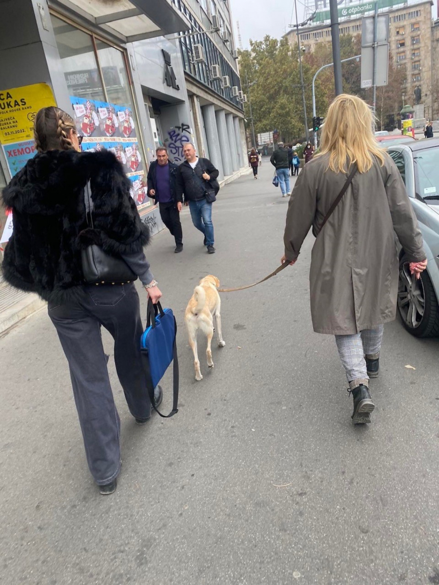 ALO! PAPARAZZO Suzana Mančić prati ćerku na posao, a on im pravi društvo (FOTO)