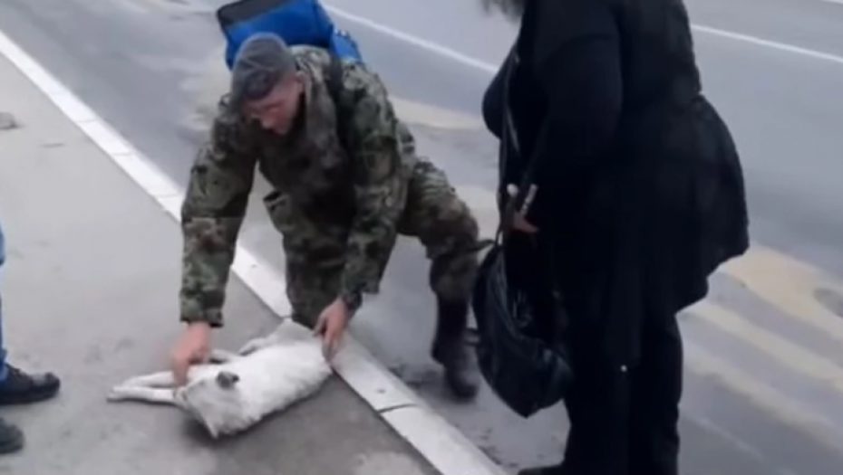 VOZAČ U NIŠU UDARIO PSA I OSTAVIO GA DA LEŽI NA ULICI Zbog reakcije srpskog vojnika ponovo verujemo u dobrotu (VIDEO)