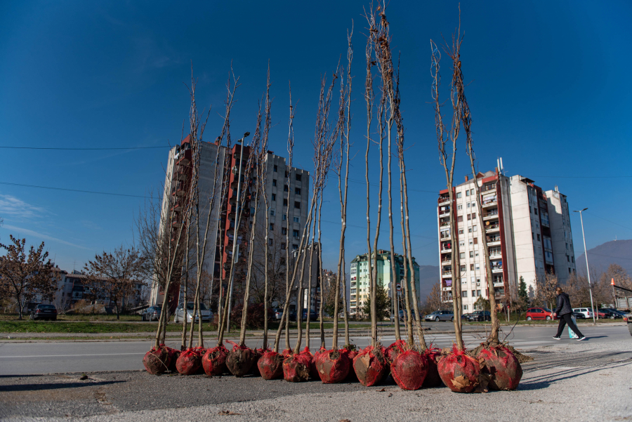 NOVI PLATANI ZA GRAD VRANJE Millennium Team: Opredeljenost za odgovorno i održivo poslovanje (FOTO)