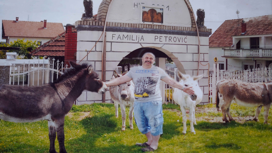 UŠATI GENIJALCI Ljubiša Popović, uz pomoć sestrića Dragiše Tilića, u Bobovu kod Svilajnca gaji 25 dugouhih ljubimaca: Glup je ko misli da su magarci glupi! (VIDEO)