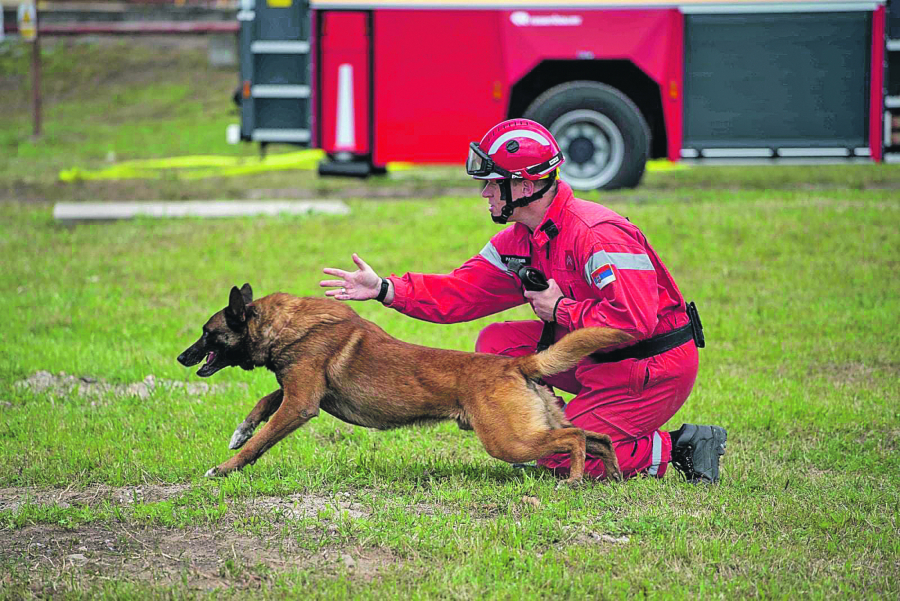 ZIGI TRAŽI PREŽIVELE U TURSKOJ! Specijalac za posebne zadatke