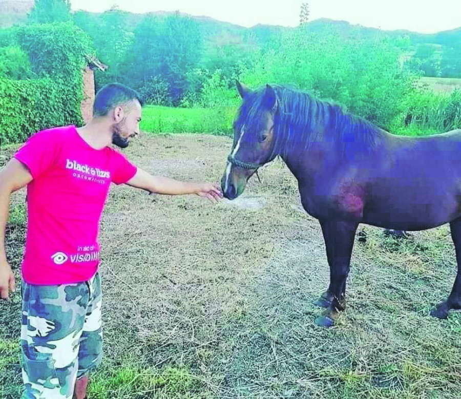 KAKO DOŠLO, TAKO OTIŠLO! Za sedam godina prošli krug od siromaštva preko blagostanja, pa opet do oskudice: Rodbini poklonili 100.000 dolara, nasledstvo otišlo u vetar