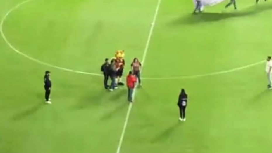 ŠOK NA STADIONU Zaprosio devojku nasred terena, odgovor koji je usledio, pamtiće do kraja života (VIDEO)