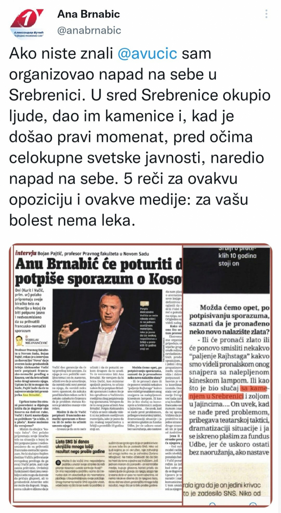 PREMIJERKA BRNABIĆ 