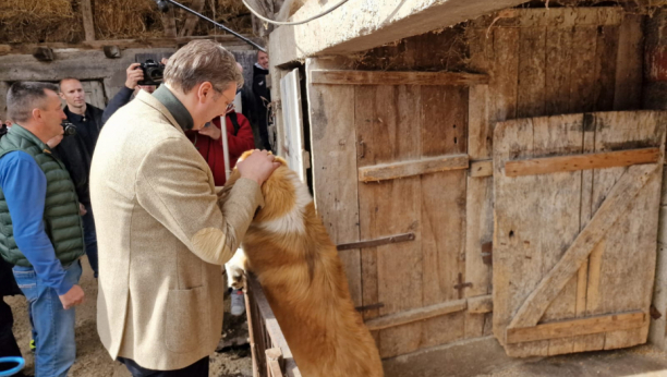 VUČIĆ ODUŠEVLJEN IMANJEM STAMENKOVIĆA Predsednik pohvalio domaćina, pažnju mu privukla Čupka (FOTO)