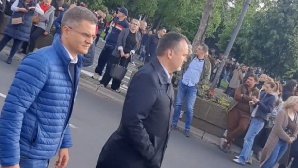 STIGAO I VUK JEREMIĆ Kakva "elita" na protestu (FOTO)