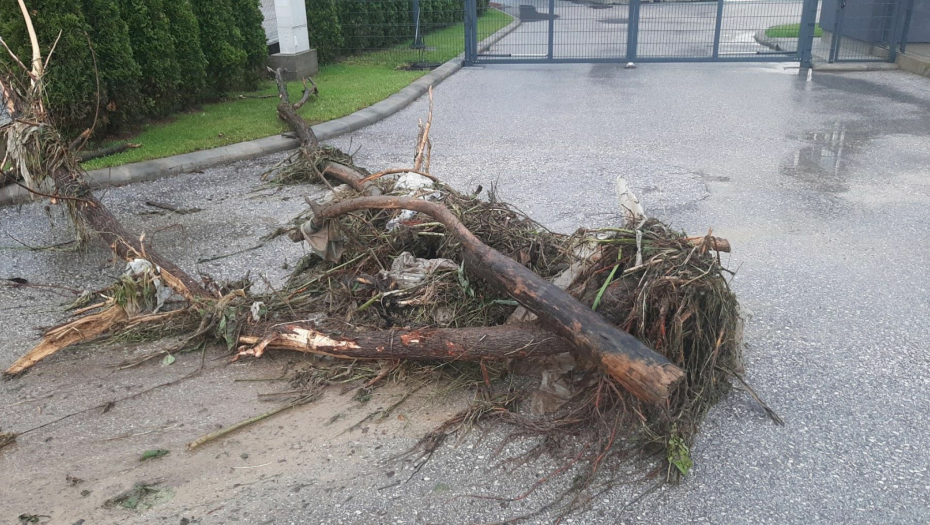 VELIKA ŠTETA Jako nevreme zahvatilo Srbiju u petak, bez struje tri sela: U rukama smo nosili stoku pred vodenom bujicom