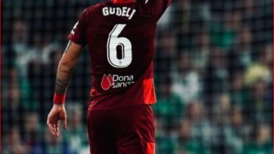 Nemanja Gudelj 