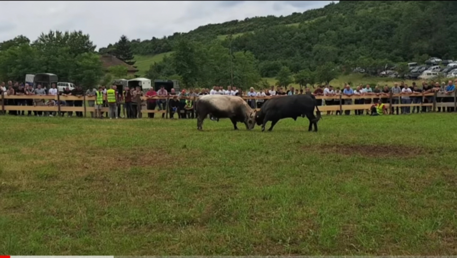 Jana na koridi u Kaknju