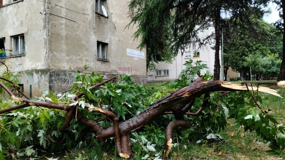 Nevreme na Kanarevom brdu