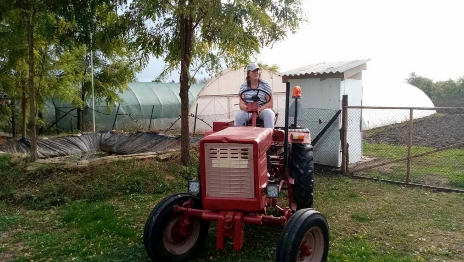 Izbor za Najdomaćina