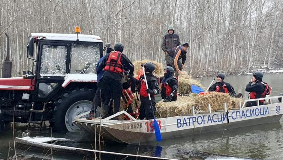 Zarobljene životinje u Krčedinskoj Adi