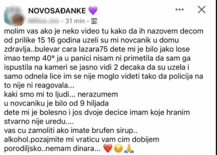 Novosađanka pokradena