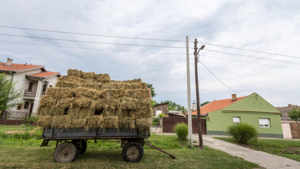 Vojvodina