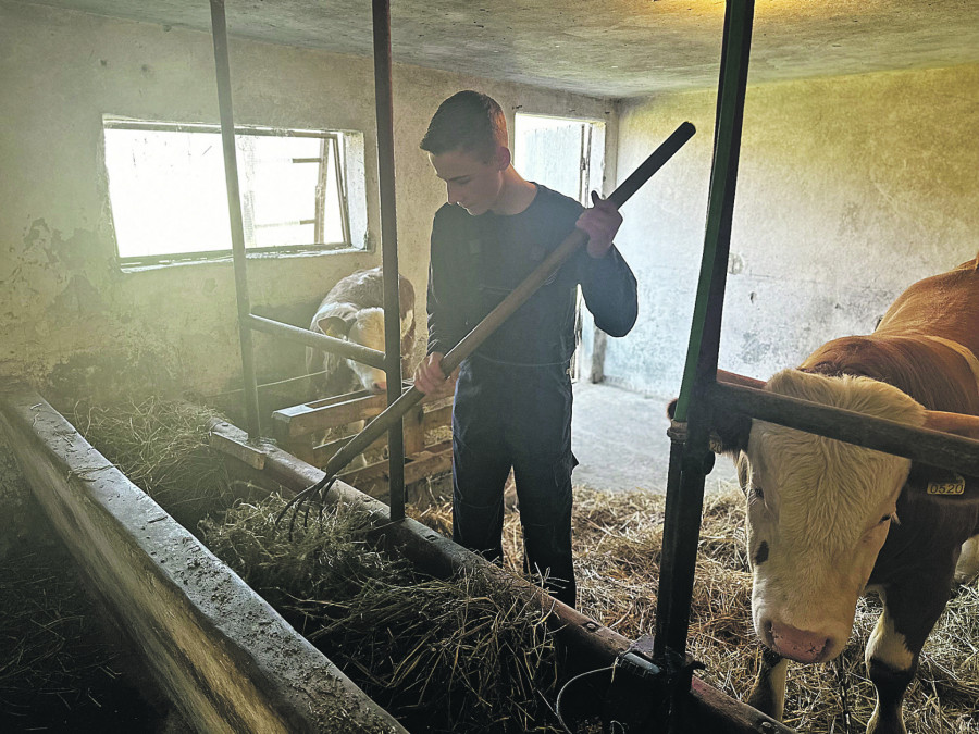 najmlađi farmer u Srbiji