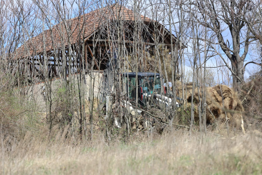 banjsko polje