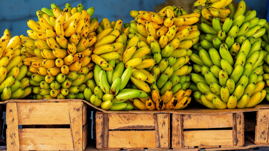 NEZVANI GOST NAPRAVIO HAOS Otrovna zmija otkrivena među bananama u marketu