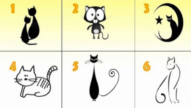test sa mačkama