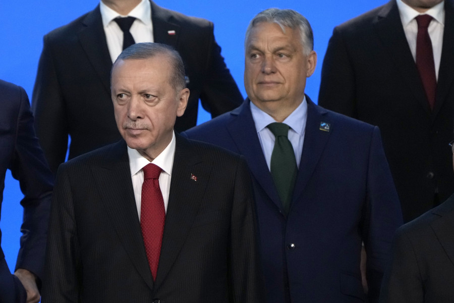 Viktor Orban, Recep Tayyip Erdogan