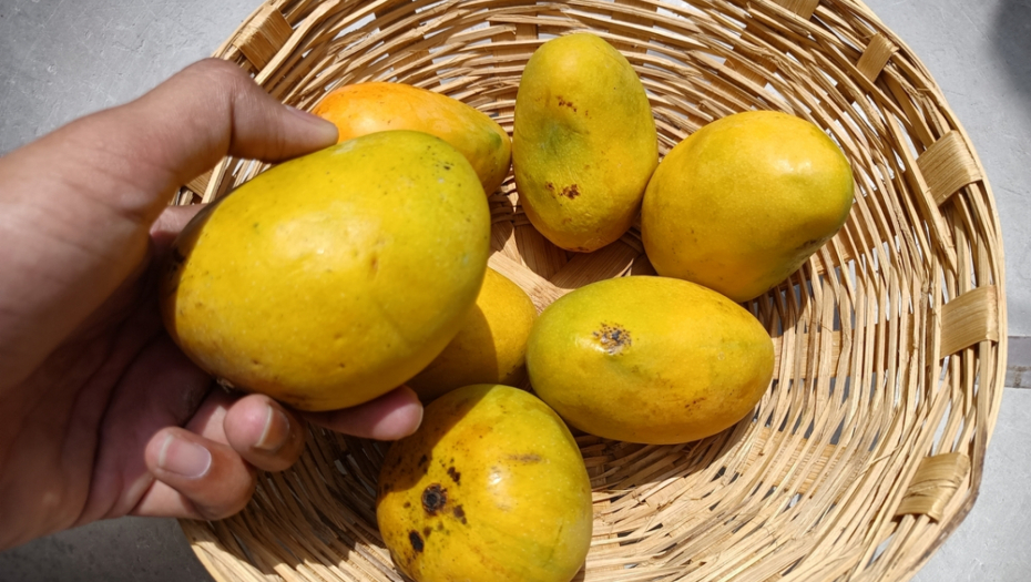 mango