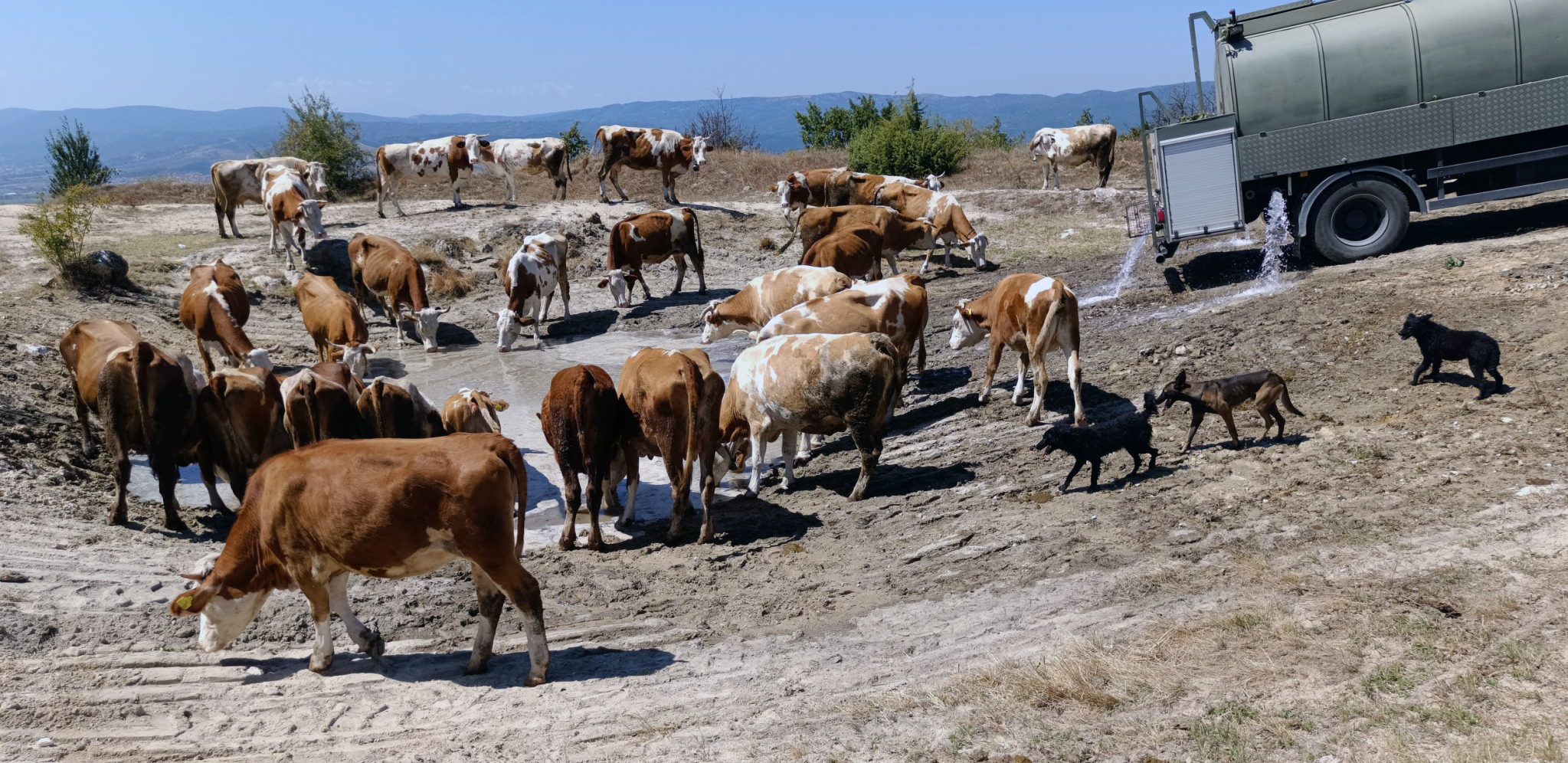 FOTO TANJUG/MINISTARSTVO ODBRANE I VOJSKA SRBIJE