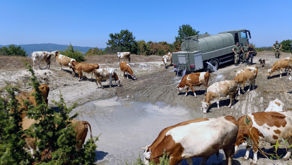 FOTO TANJUG/MINISTARSTVO ODBRANE I VOJSKA SRBIJE