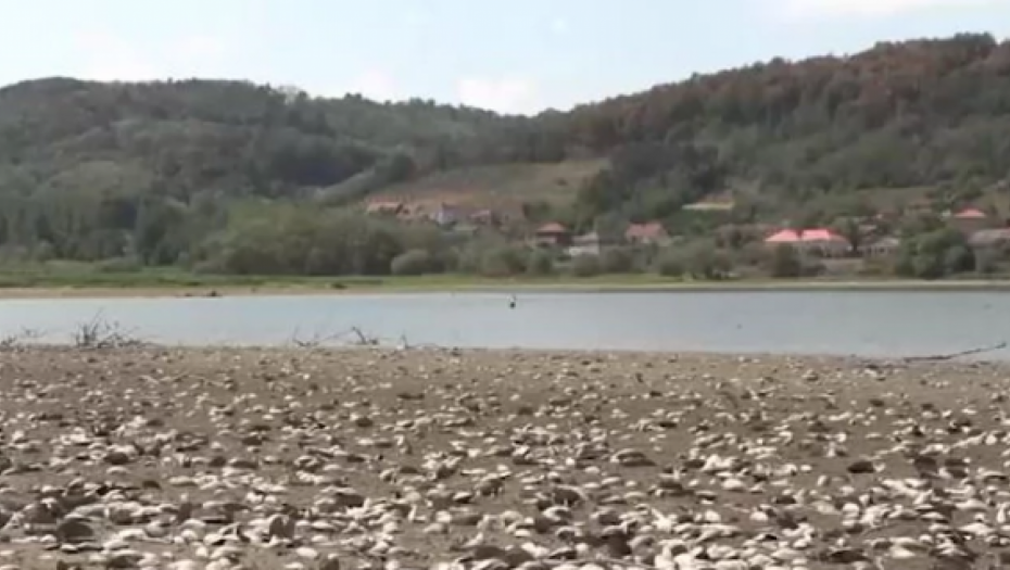 Jezero Ćelije