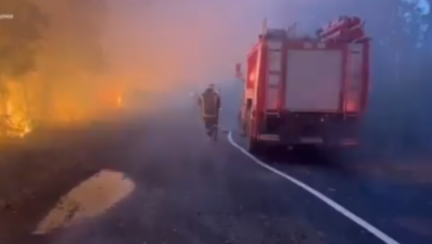 Požar u okolini Černobilja