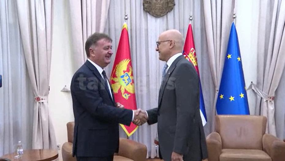 aleksić i vučević