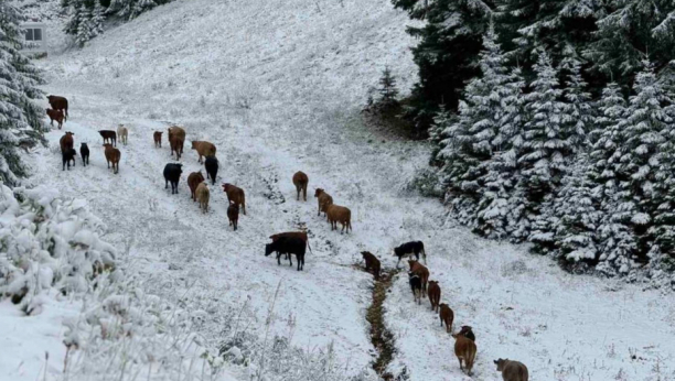 jahorina