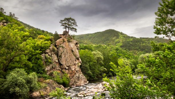 Foto: DMZ001 / Shutterstock.com