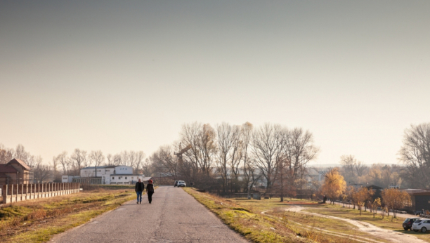 Foto: BalkansCat / Shutterstock.com