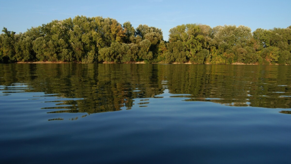 ZA OVO UZMU 15.000 DOLARA Ukrajinci pokušali da pređu Tisu, a onda im se desilo ono najgore