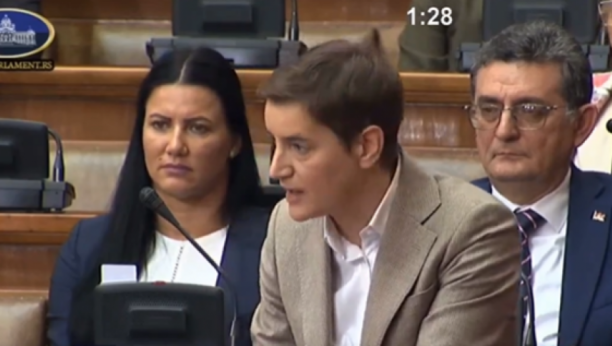 ana brnabić